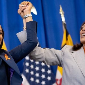 Maryland Senate poll shows Democrat Alsobrooks maintaining lead in closely watched race