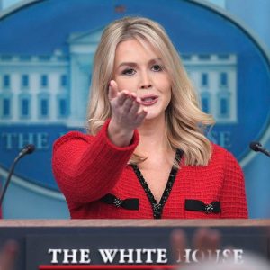 Democrats’ behavior at Trump’s Congress address ‘completely disgraceful,’ press secretary says