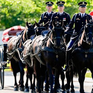 Army’s historic horse-drawn funeral tradition returns from two-year hiatus after $28M overhaul