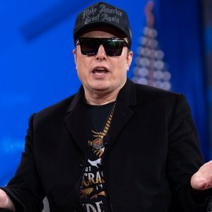 ‘Saved the country’: CPAC attendees see silver lining after Elon Musk’s DOGE speech