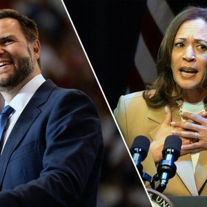 Vance rips Harris for questioning his loyalty to America: ‘What the hell have you done?’