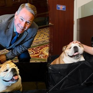 Babydog bridges ‘pawtisan’ divide in the Senate on social media: ‘She knows no political bias’