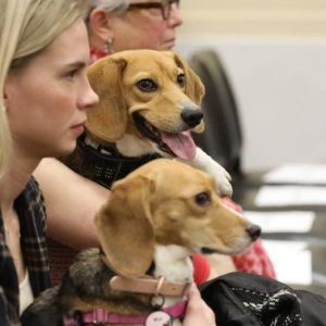 House Rep. Eli Crane says therapy dogs should be mandatory at hearings after joke about Dems’ mental stability