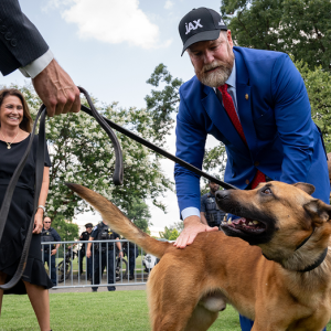 House DOGE leader pushes tougher penalties for assaults on police K9s, horses amid anti-ICE violence