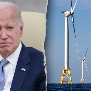 Biden green energy project halted by Trump admin relied on rushed, bad science, study finds