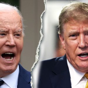House Republicans privately worry about Democrats replacing Biden: ‘Changes everything’