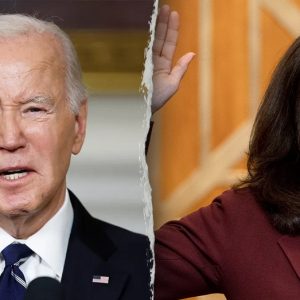 ‘Presidential incapacity’: Senate Republican seeks paper trail of Biden’s autopen use