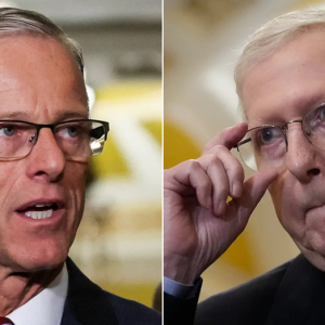 Elections watchdog urges Senate GOP to close noncitizen voting loophole