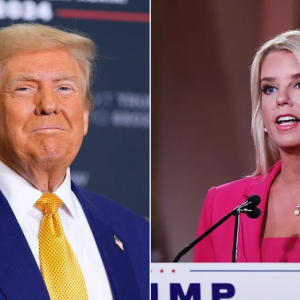 Trump hit for hiring loyalists like Pam Bondi: Doesn’t every president do that?