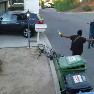 Man arrested near LA fires with possible blowtorch is an illegal immigrant: ICE sources