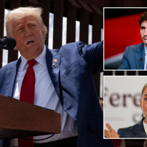‘Extraordinary’: Trump secures rapid-fire victories on border cooperation amid tariff push