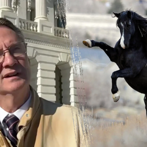 Republican congressman kicked by horse, breaks rib during farm accident