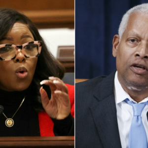 House Dems suggest Trump is trying to bring back slavery in racially charged livestream: ‘Back to the fields’