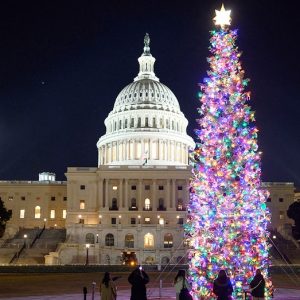 Scavenger hunts, Christmas mass, Cajun-fried turkey: Capitol Hill’s favorite holiday traditions