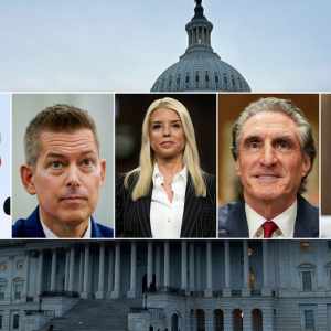 You’re hired! Here’s who passed Congress’ Trump cabinet test and how stormy their hearings were