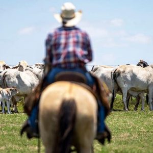 ‘Why would he do this to us?’: Trump’s foreign beef push is hurting his base, Republicans warn