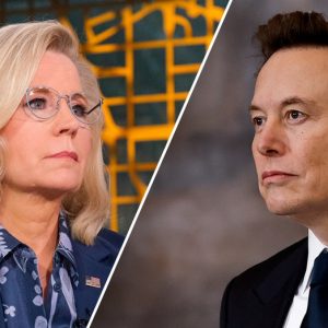 Liz Cheney to Elon Musk regarding her past work at USAID: ‘Damn Right’