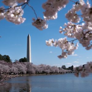 Trump’s DC beautification push wins rare Dem praise as president snaps landmarks back to life