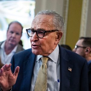 Schumer silent as Van Hollen blasts ‘spineless’ NY Democrats over Mamdani snub