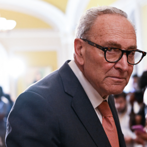 Sen Chuck Schumer unveils anti-corruption agency aimed at Trump and future presidents