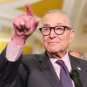 Schumer said ‘Democrats support voter ID’ — then every Senate Democrat voted against GOP bill