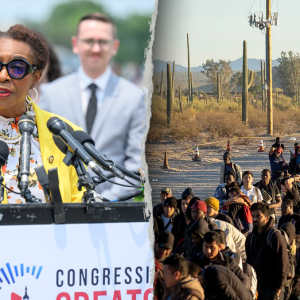 Immigrants needed for ‘redistricting purposes,’ House Dem admits in viral clip: ‘Quiet part out loud’