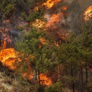 Emergency workers battle wildfires in Syria