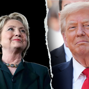 WATCH: Trump says he is hopeful Hillary Clinton will be investigated for election fraud