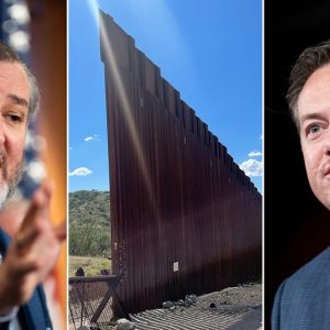 Texas lawmakers demand answers on fatal crash allegedly caused by illegal immigrant: ‘Infuriating’