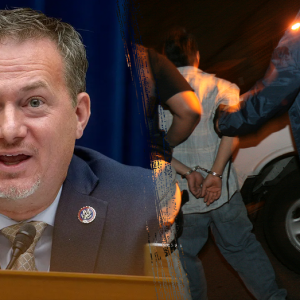 ‘Undo the damage’: Texas lawmaker launches strategy to help ICE amid Trump deportation blitz