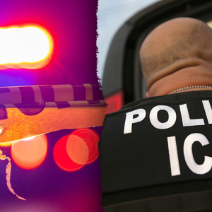 Colorado deputy could face massive fine for sharing information with immigration authorities