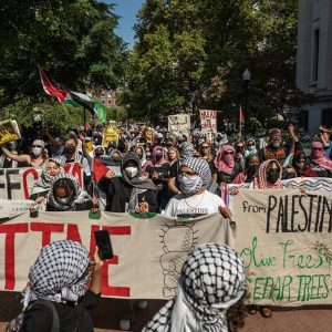 Pro-Palestinian protesters plan anti-Veterans Day gathering at Columbia University: ‘DISGUSTING’