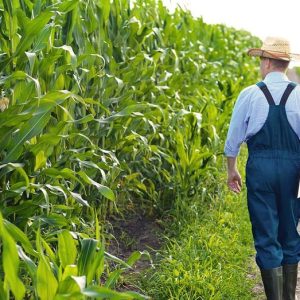 ‘Better access’: Bipartisan Senate push to fund farmers suicide prevention fund gains steam