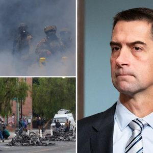 Tom Cotton pushes new crackdown on pro-immigration rioters in Los Angeles, citing ICE assaults