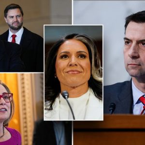 Inside Sen. Tom Cotton’s campaign to save Tulsi Gabbard’s endangered DNI nomination