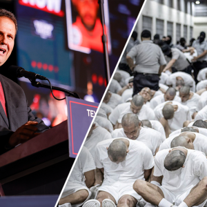 Fox News Politics Newsletter: Targeting TdA