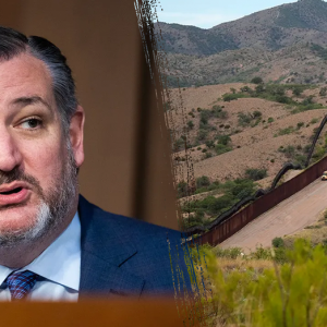 ‘Serious consequences’: Ted Cruz delivers strong warning to illegal immigrants fleeing Border Patrol