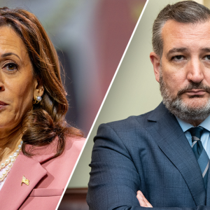 VP Harris is ‘actively encouraging’ illegal immigration in coordination with Mexico, Cruz charges