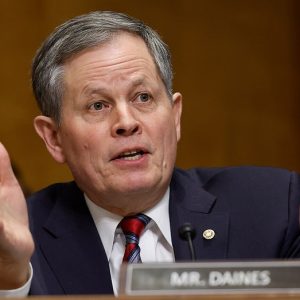 Senator’s bill would open federal cemeteries to visits on holidays: ‘Honor that they deserve’