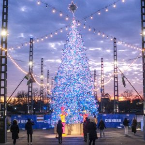 Iconic DC landmark unveils first Christmas tree as part of push to revive holiday spirit
