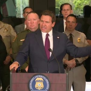 Florida Gov DeSantis tangles with reporter over illegal immigration, tells her ‘you seem to have no sympathy’