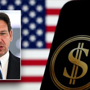 Gov. DeSantis’ new DOGE task force gains momentum as universities, localities commit to being audited