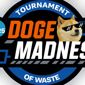 DOGE Madness: ‘Sweet 16’ bracket set up as craziest federal waste competes for championship