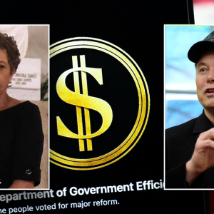 Judge denies Democrat-led effort to block DOGE access, citing lack of proven harm