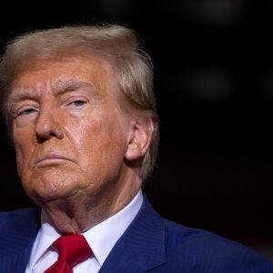 The politics of shamelessness: a survival tactic from Trump to party loyalty