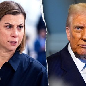 Dem probes could ‘torture’ young Trump officials with crushing legal bills, subpoenaed conservative warns