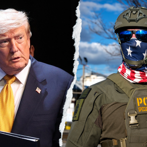 Trump’s swift ICE reversal hailed for showing ‘confidence’ in frontline agents