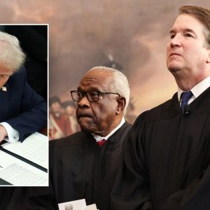Trump demands Supreme Court step in after federal judges block his agenda: ‘These people are Lunatics’