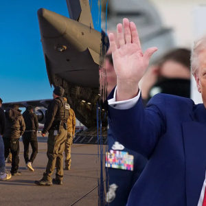 Trump admin on pace to shatter deportation record by end of first year: ‘Just the beginning’