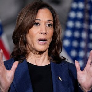 Kamala Harris’ major California announcement triggers circular Dem firing squad